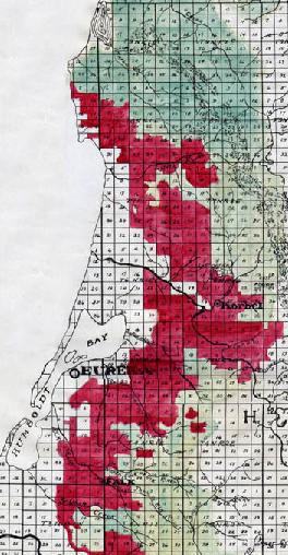Weber's 1926 map of redwood cutover land. Red has been logged; Green is unlogged; white is non-redwood.